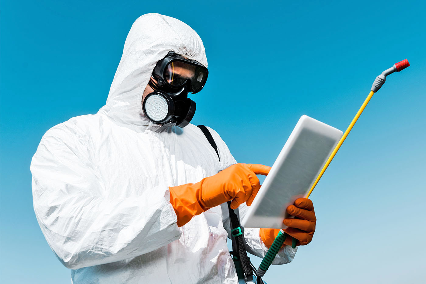 サービスの流れ画像