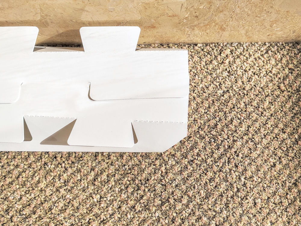 ゴキブリ駆除サービス画像