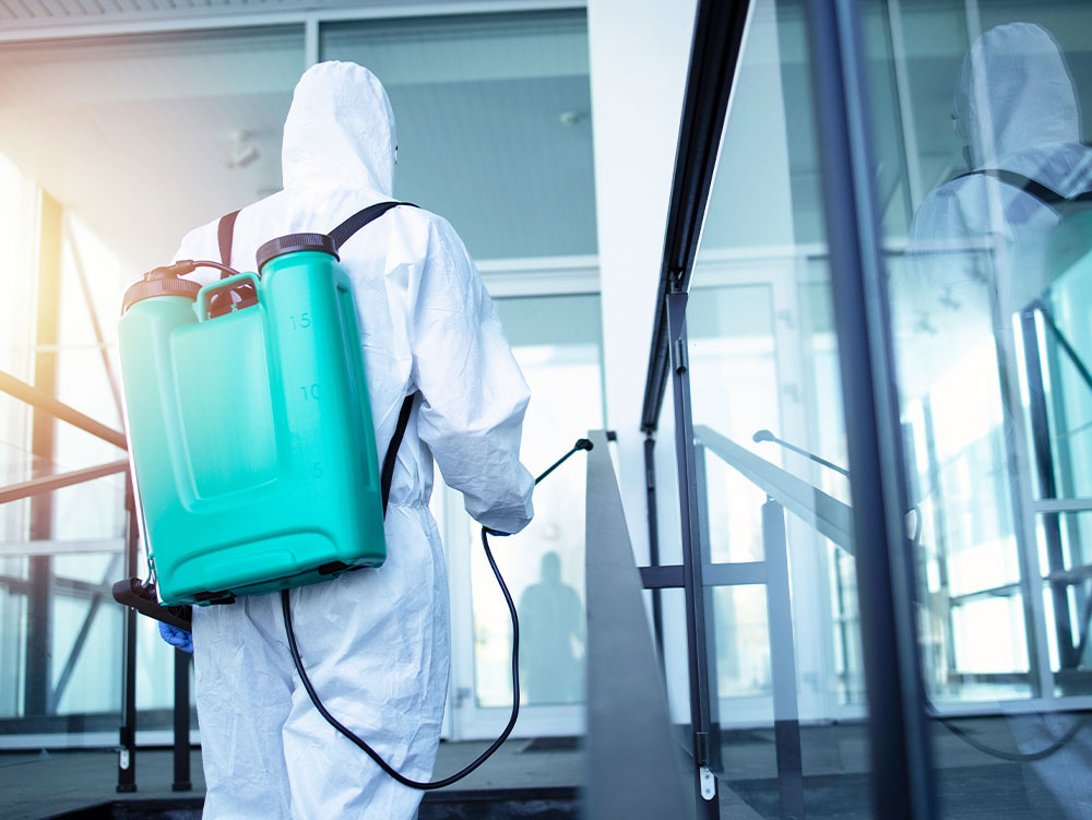 ネズミ駆除サービス画像