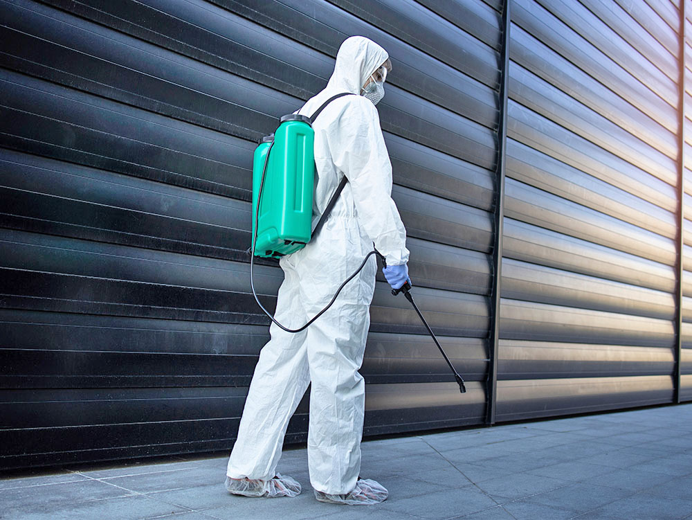 チョウバエ駆除サービス画像